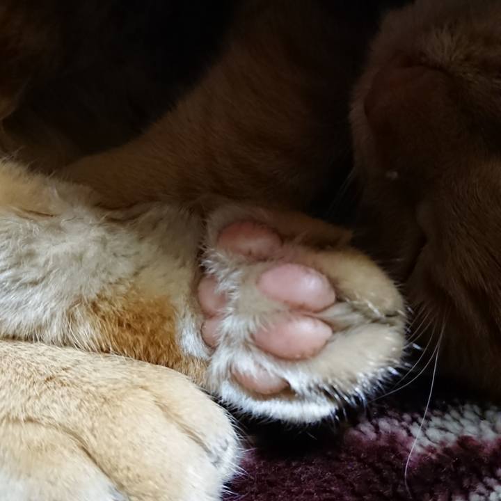 155724ad d577 48bc aa20 13c25ab8ba1e 1639830214795