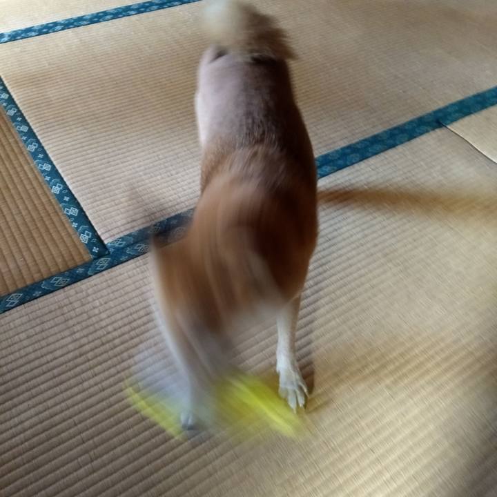 15574fdd 0005 44ec affa 2376269dc347 1569580700107