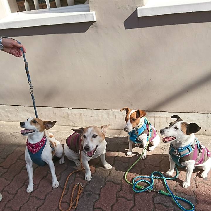 15578295 cd11 4c8d 9e88 62bd0f74b97e 1605773924160