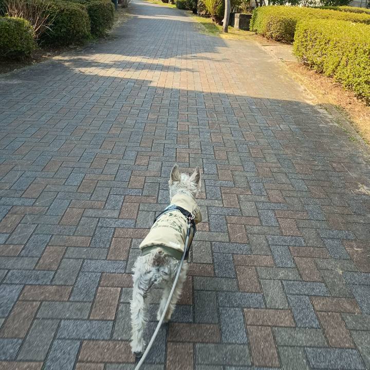 1557f740 b06a 4364 86c8 7b25ad755ddb 1774267709012