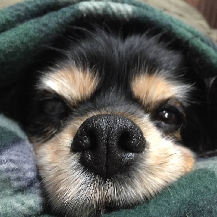 15580b1a d703 41f5 9689 39a5f0858b39 1540302610857