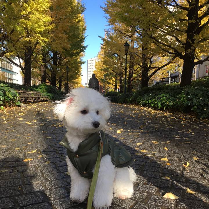 1558497b 836c 428b 88ef 1a13dc3a29b1 1511418384961