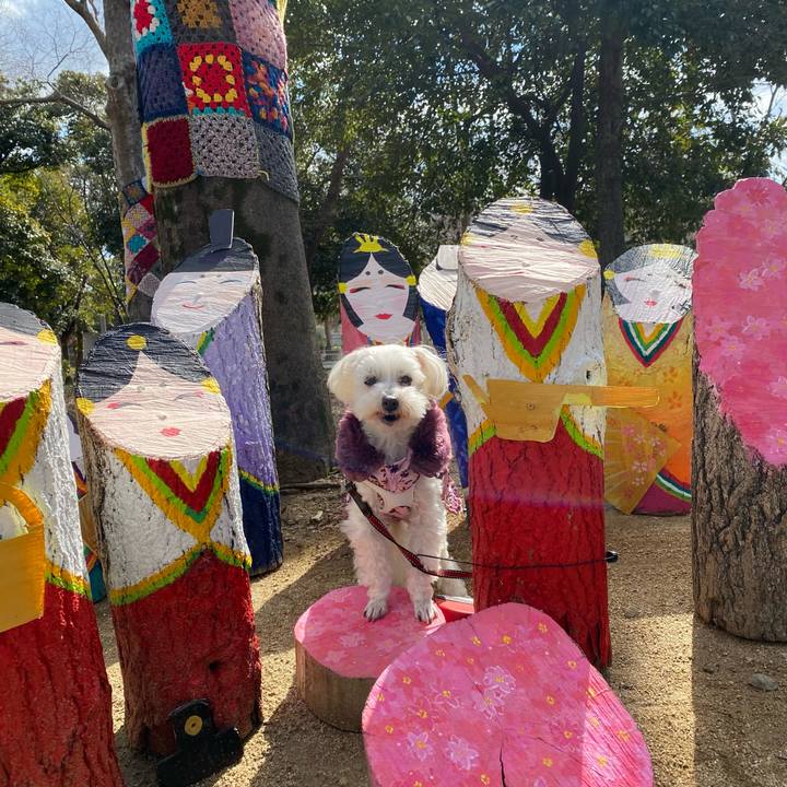 15585384 6b8b 489a a46e a4eca317ce2c 1740483605492