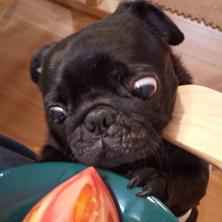 1558bcbd 293a 4ba6 952b 203890720fb8 1591529012251