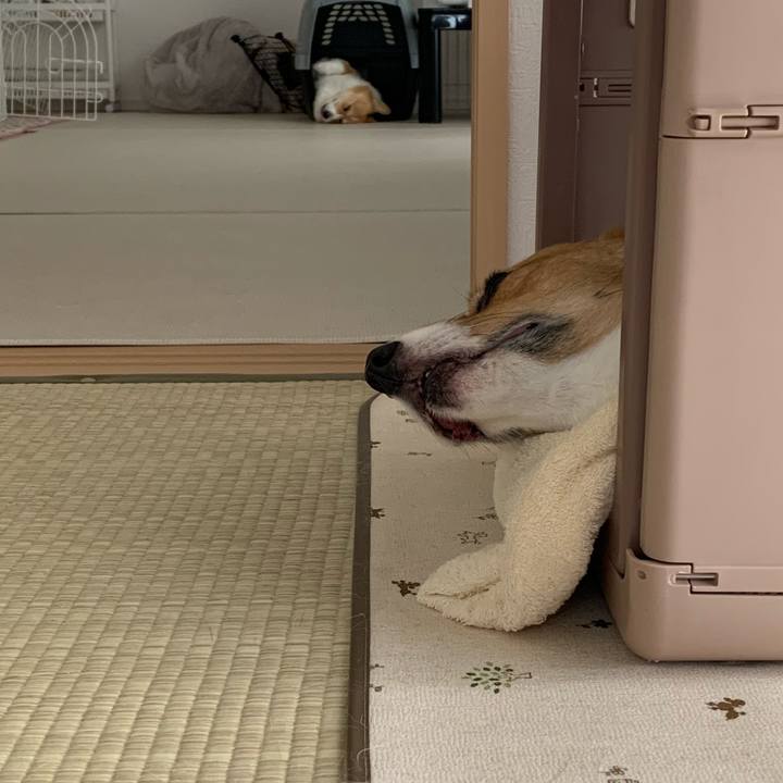 1558f51b 7cd3 45dd b1e5 24c9bed22034 1662519397245