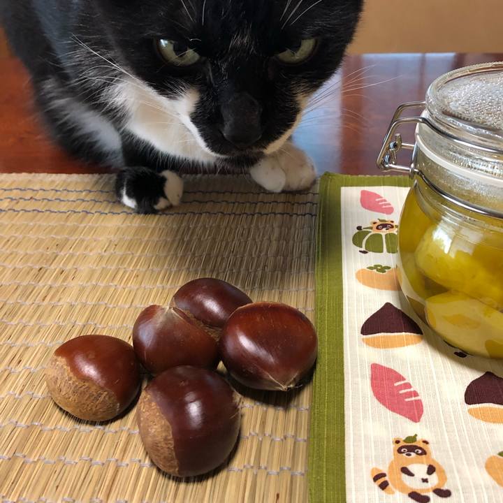 155938da 88d1 4761 81f9 1e4d133caa10 1570577923169