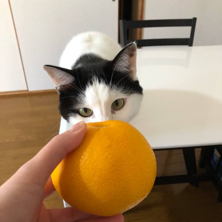 15593e05 df27 4466 b265 3ed7e9aaa5c1 1580688238101