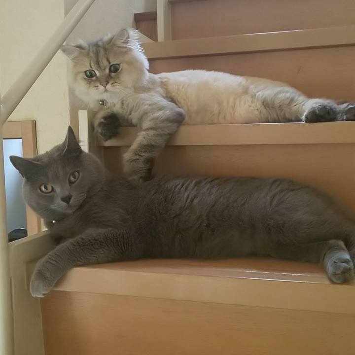 1559bc2f 3b90 4421 b25a f663cdce6483 1593472930691