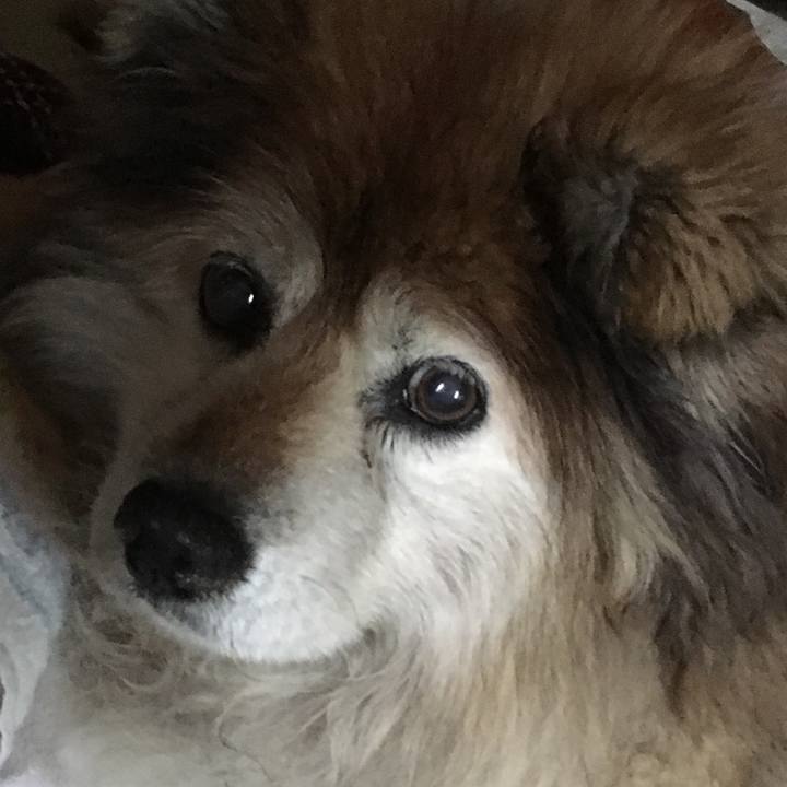 1559eb3a 383e 4b0e ab61 50ee252f4fc8 1557616899126