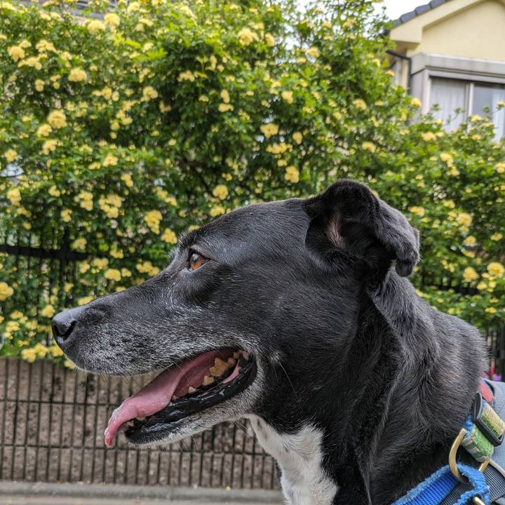 155a12ee e4b2 4994 8fc5 f999dc2dedc7 1713233509714