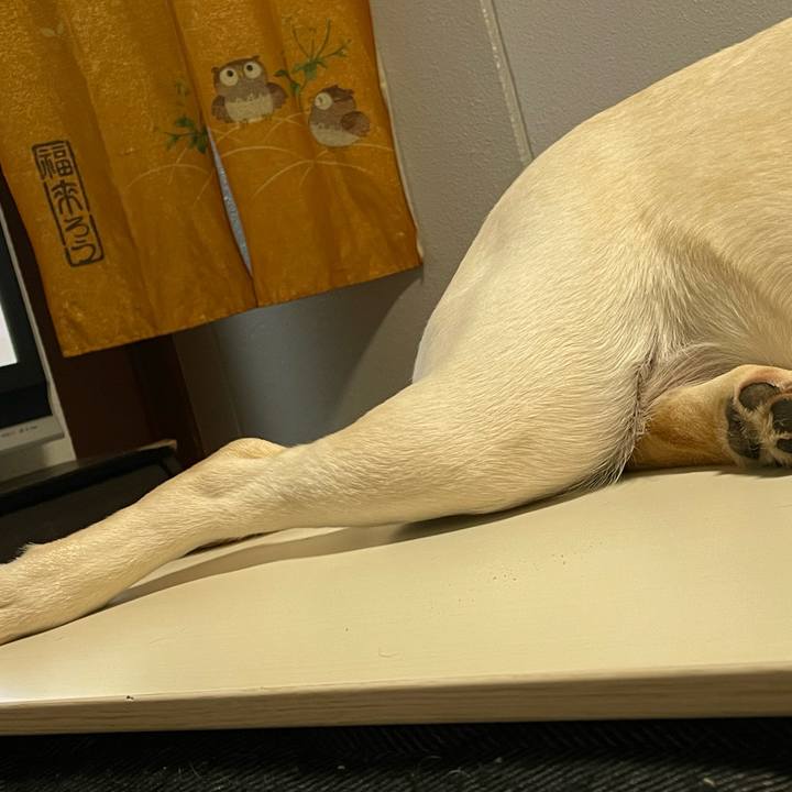 155a133a 023e 483d be30 fe7cc339fab6 1645877843553