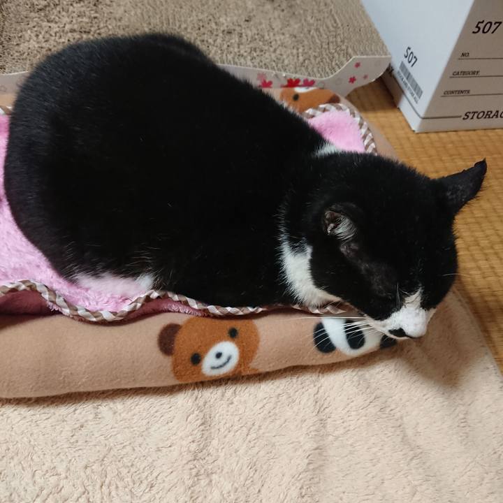 155a5def 7519 4d69 8818 7613c292db6e 1571138294171