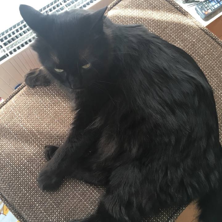 155a6f49 b008 498e a128 50dda0381665 1523941962036