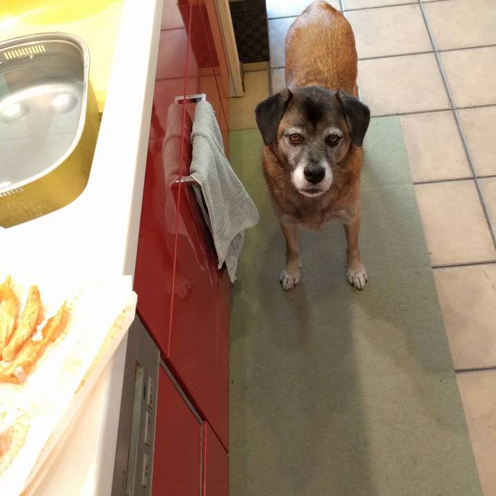 155aa33d 0a23 43f0 b3d8 df0eeded8a62 1701046094495