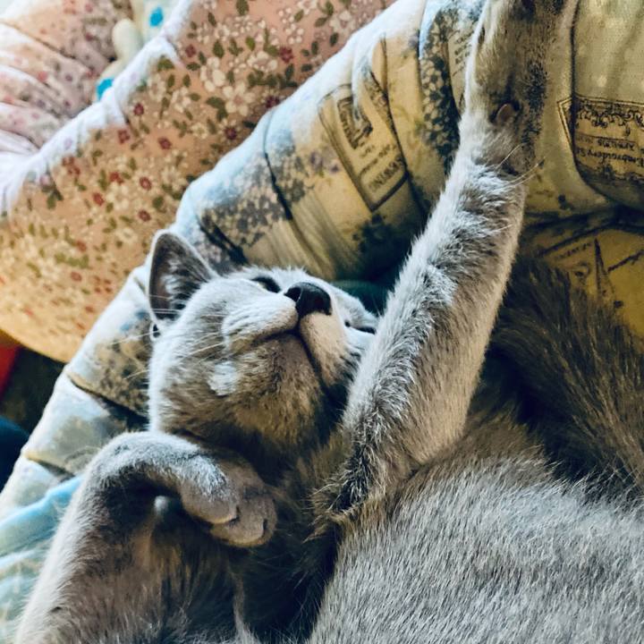 155ada79 d7ca 46a8 b0c4 0c0c68bf89c1 1625206737320