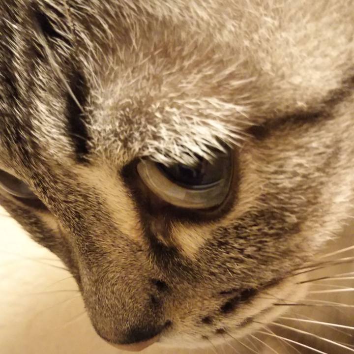 155b472c 6448 4121 9c54 282ca0cfbd0e 1532242755760