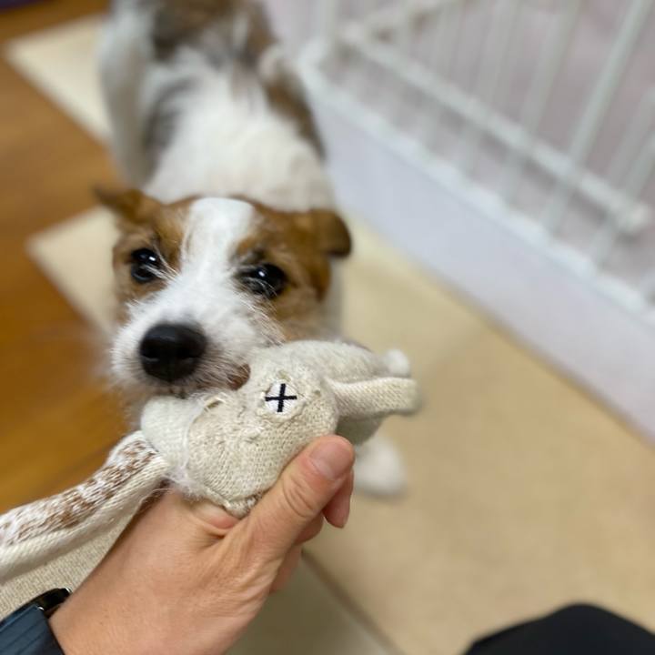 155bca0c dcd1 4a17 87a6 73e5cba2a548 1659140200220