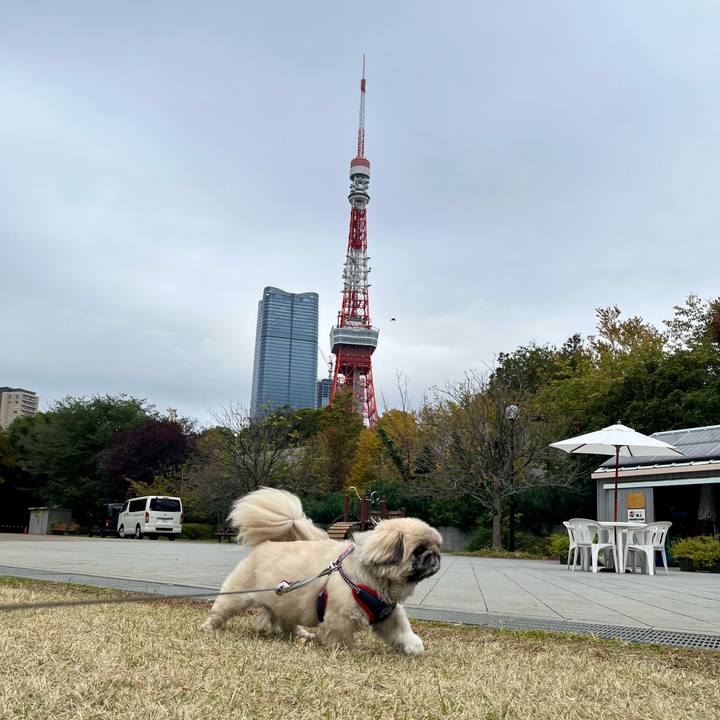 155c2758 71f3 42b0 a8e6 7b44f8d08c7c 1730853356833