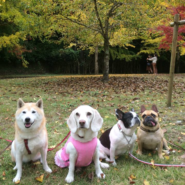 155c597d 2513 44cd 94e8 eeba571b616c 1582560200852