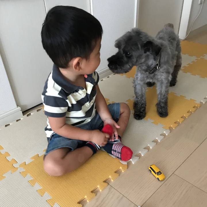 155c77f2 9e3e 4565 9cfc 5b7c044494db 1533958644464