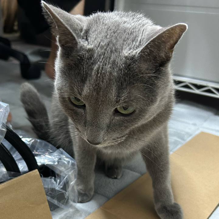 155c7b2f b6bb 4e27 8dba b188657e9196 1761451199834