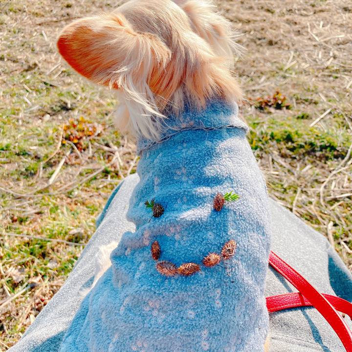 155c7f1b 0b25 4613 9fb6 0cafc6c417f9 1644304559201