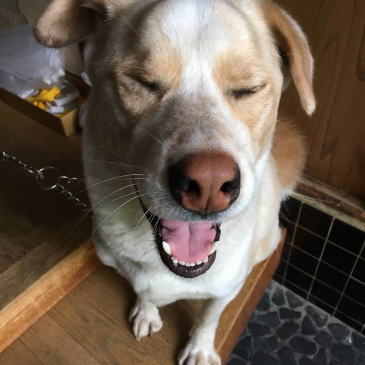 155c89ea bf8c 46ce b195 27604d28e1c9 1526080287333