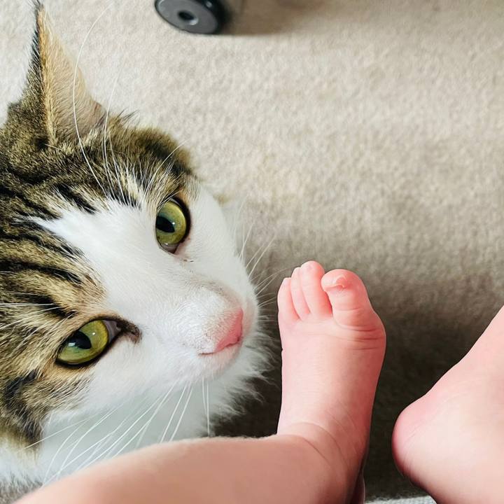 155cd24f b330 4bbe 8703 158854cf78fa 1661908593741