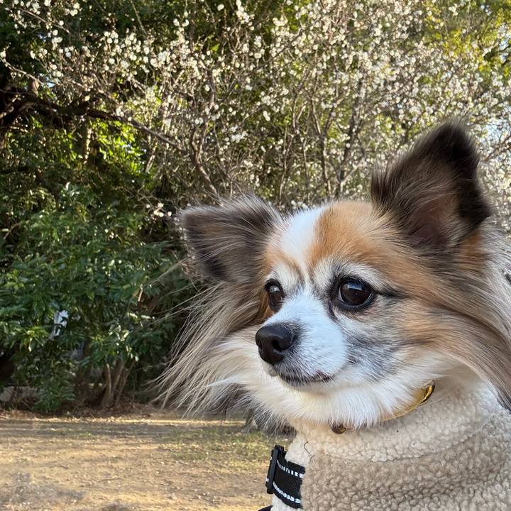 155d2bc1 c47a 4293 8403 ba5a77946861 1768474792089