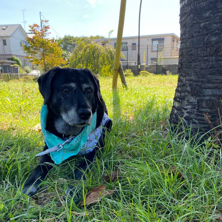 155d47b3 ae15 44ca 9c39 d1d3978a89dd 1696568747111