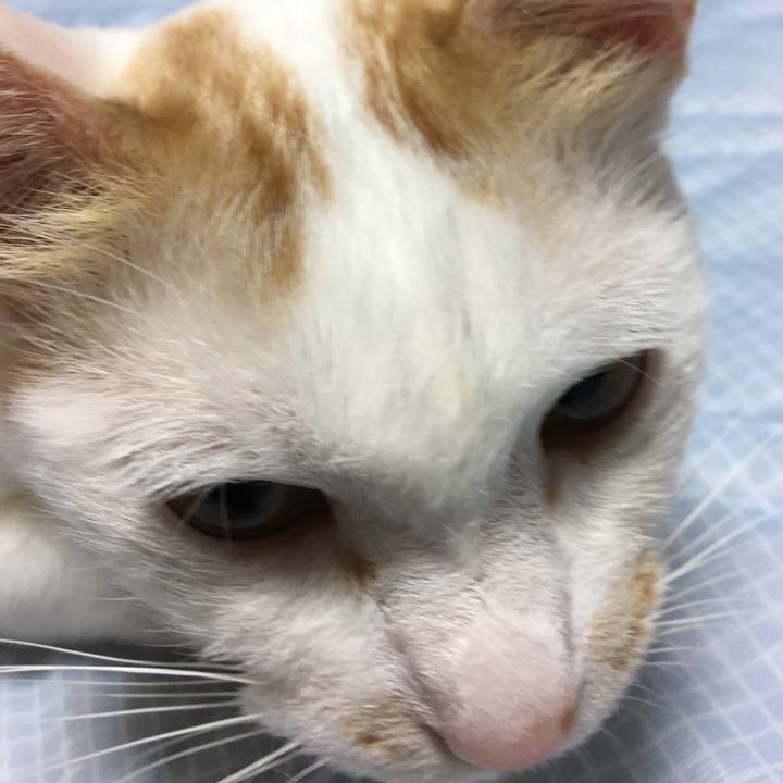 155d4e7c cfe2 4028 a8e7 4d06697f7cb8 1530965328752