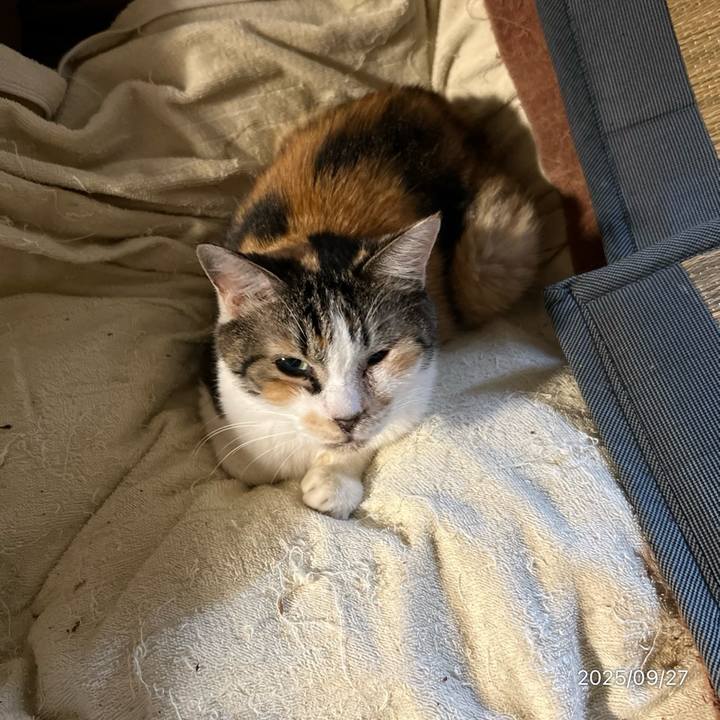 155d5727 c01d 43af bd61 e3351dfad8b2 1758950492545