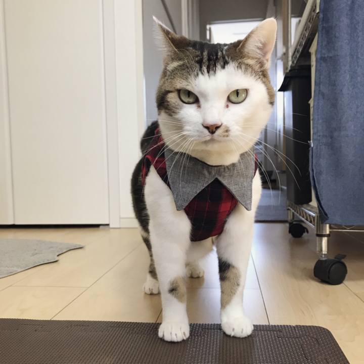 155d6807 9e06 4379 a38f ca34c4a578c9 1546831305217