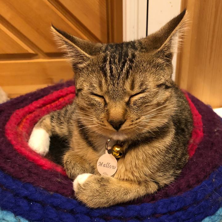 155de2a8 e400 4815 a3e0 19a8f0952617 1558232542597