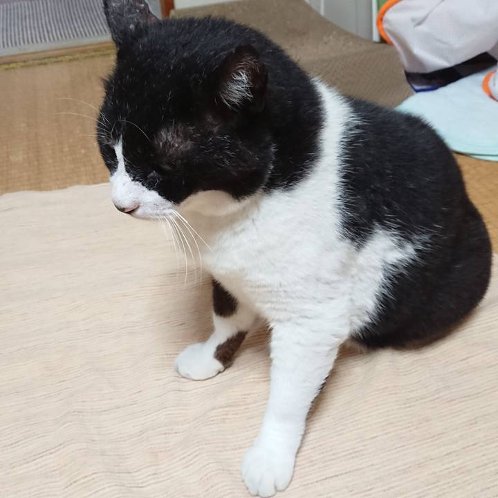 155e0b77 c61e 4855 b792 56665bf98b12 1629971106835