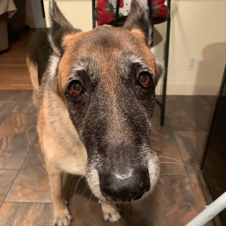 155e0c6a 0b46 4a34 b672 54b897cd73a1 1565698689589