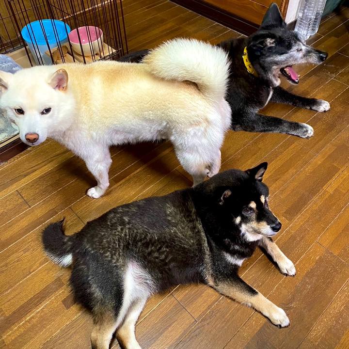 155e3663 a903 4ba9 854f 9ec123cfa22b 1632699030842