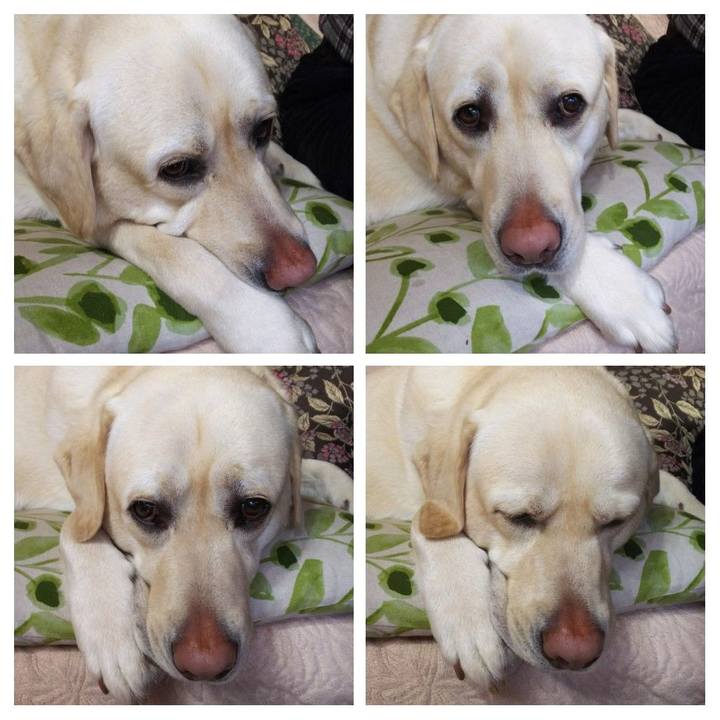 155e4b44 ce13 4319 9889 f7e3e58f3986 1585449583962