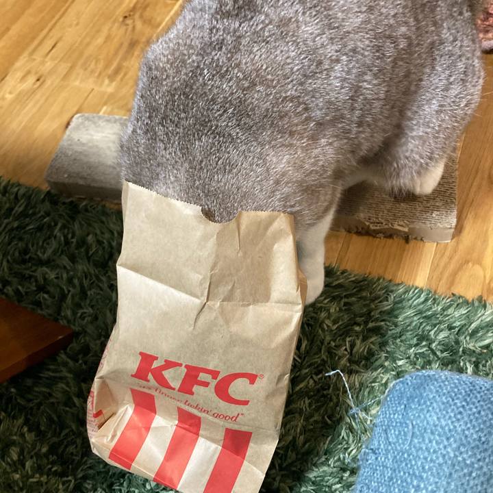 155e725b 53c4 47d9 9bab 9c3f54b1241b 1653880597854