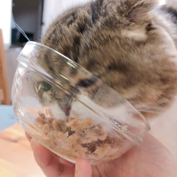 155eaa9b 81cd 40a1 84ca 4da7c4fd22b5 1552905746661