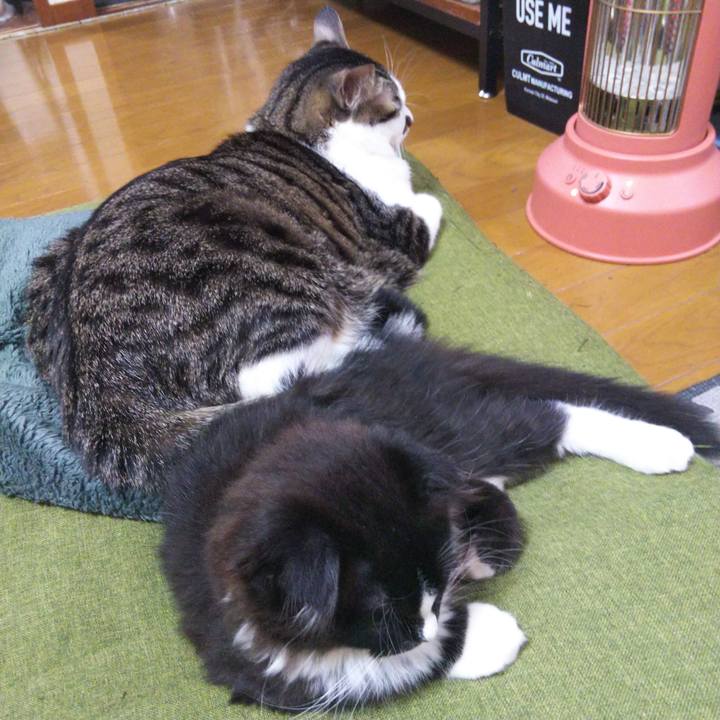 155edece d947 4ff2 8d9a 071b5c0c808d 1640765737438