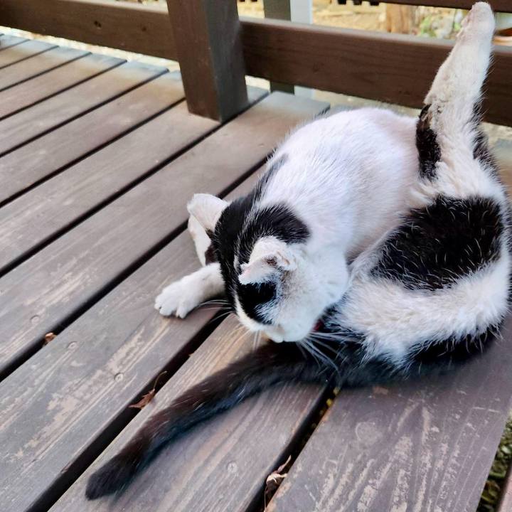 155ee9b8 ae66 40ca b1ce fbc7bf60f0e0 1770619603876