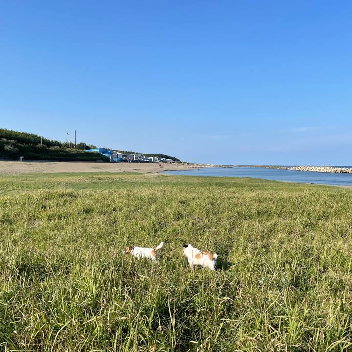 155f1344 d7ec 42ae b763 e04443bdcfd7 1632355260704