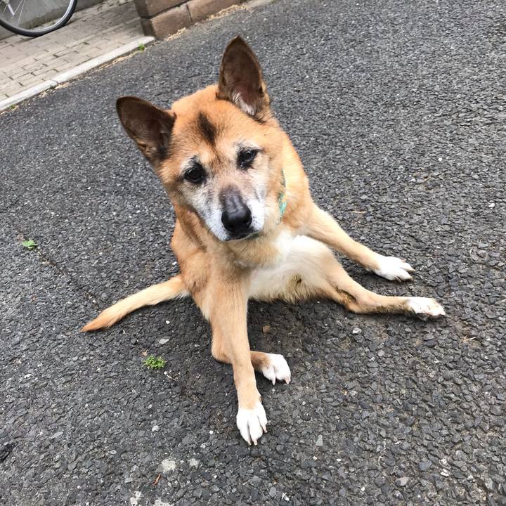 155f19a0 43b5 4e89 b936 2a980715a5d7 1557352662888