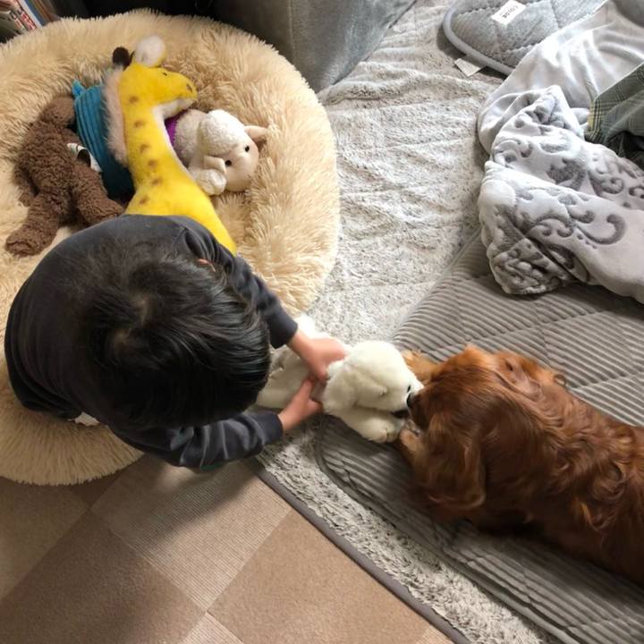 155f212e 31e9 4aad 97f9 f216ca6db68f 1640821940476