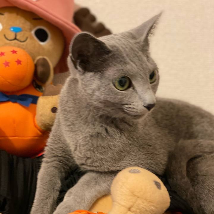 155f66e4 aa49 4558 99bd 6c000834f1bb 1619866828508