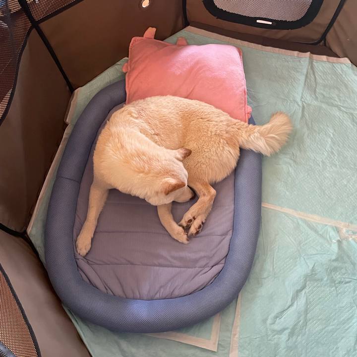 155f93d6 4ccb 439f 9cdf 129a108957ef 1652593108823