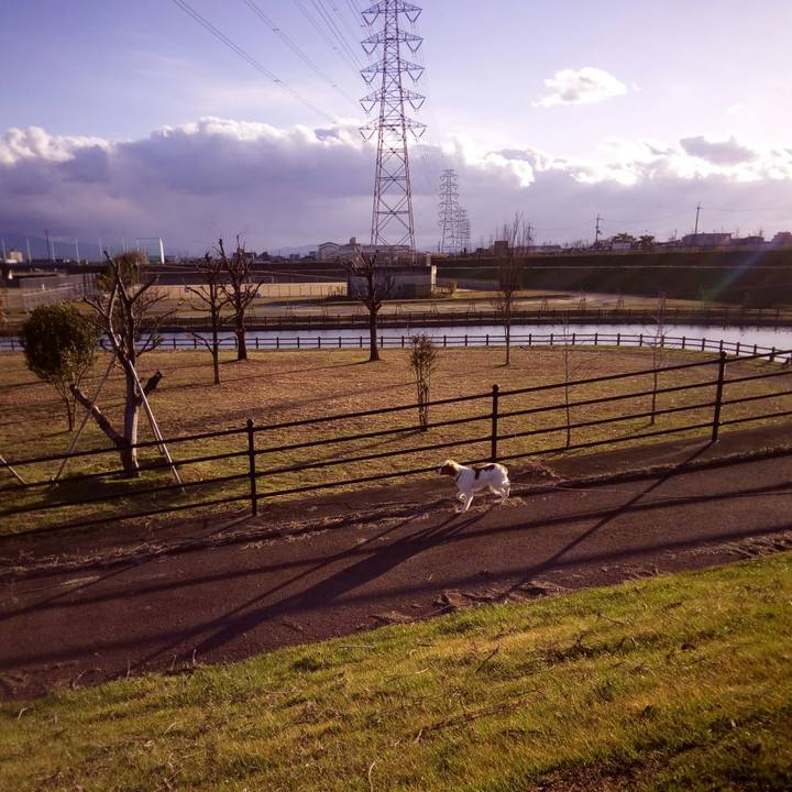 156020de 3c42 43fb 8b13 6f0f67fdaa06 1516782971065