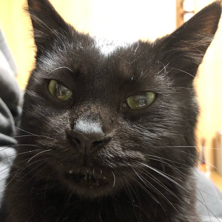 15606953 7f5e 4be4 9b82 5737e9dcc314 1614608060873