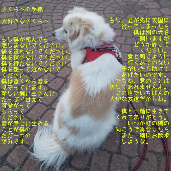 156070fc 9f6b 41db 8c0d ca0d52990236 1646171170368